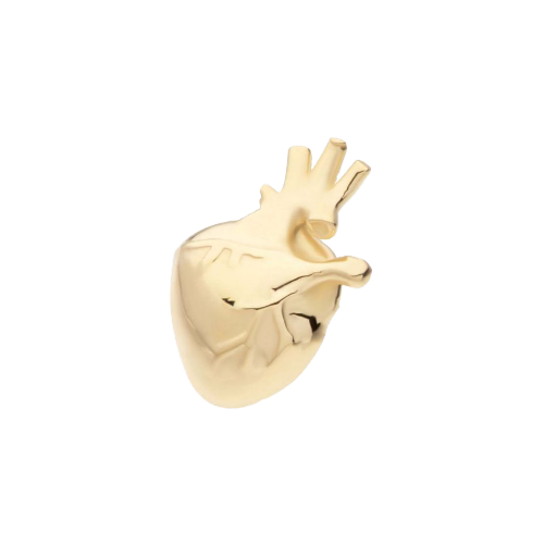 END Anatomical Heart STEEL N INK